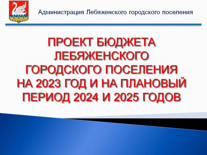 ПРОЕКТ БЮДЖЕТА ЛЕБЯЖЕНСКОГО ГОРОДСКОГО ПОСЕЛЕНИЯ НА 2023 ГОД И НА ПЛАНОВЫЙ ПЕРИОД 2024 И 2025 ГОДОВ