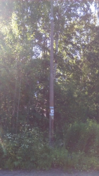 Выправление столбов уличного освещения", ул. Комсомольская, возле дома 2